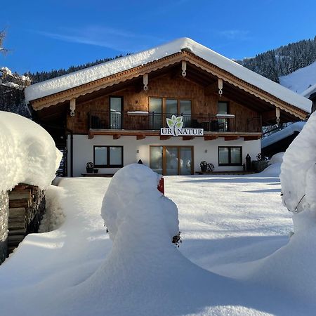 Ur-Natur Appartements Maria Alm am Steinernen Meer Eksteriør billede